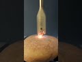 #art #machine #facts #oddlysatisfying #tools #aesthetic #bugart #funny