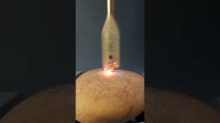 #art #machine #facts #oddlysatisfying #tools #aesthetic #bugart #funny
