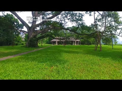 Phóng sự: Tân Trào in mãi dấu chân Người