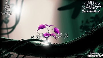 سورة النمل كاملة بصوت جميل جدا جدا    القارئ إياد مهرة Surah An Naml  Full HD720P HD