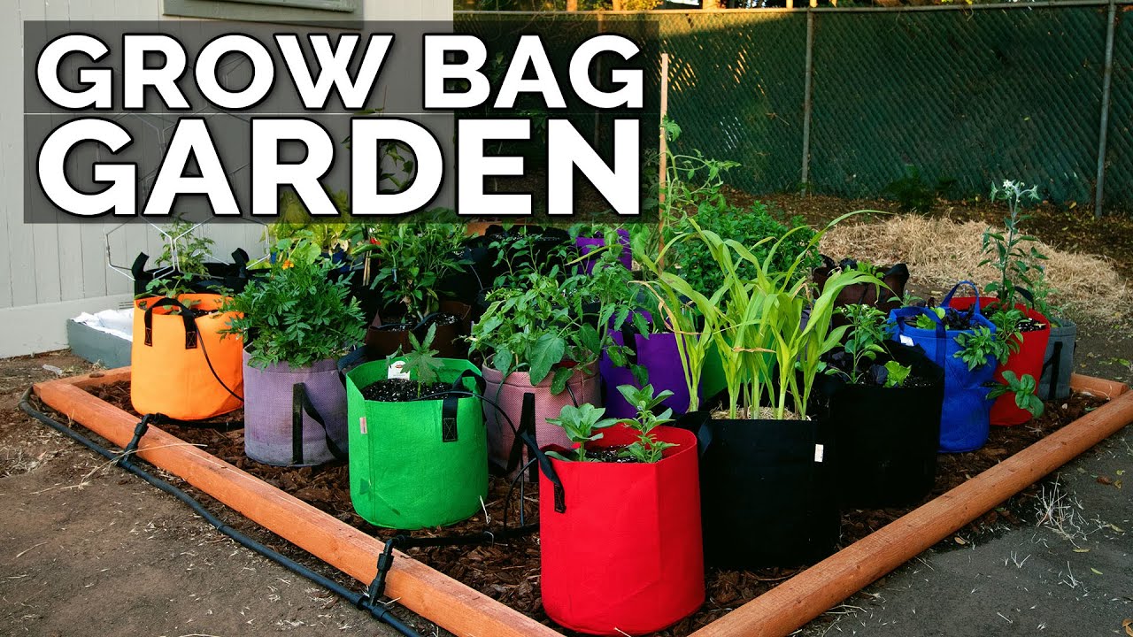 How to Use Grow Bags for Gardening 