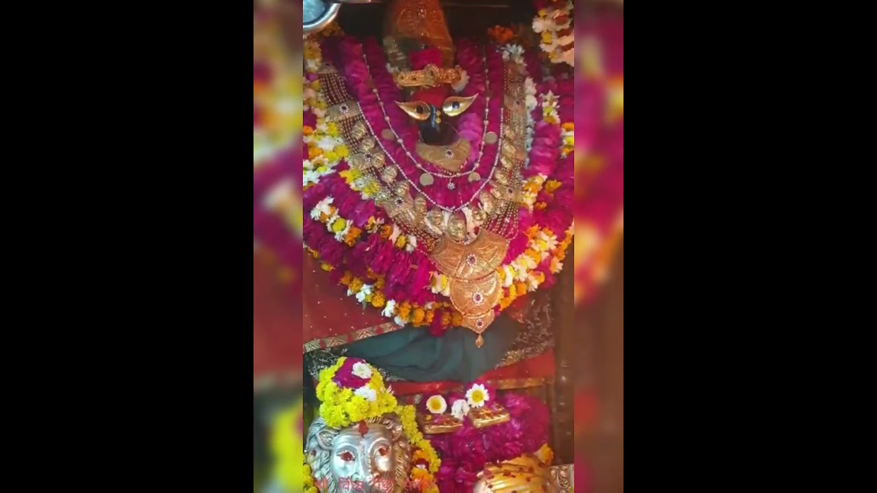 Maa Vindhyvasni ka Bhavy Darshan ll saujany- Vindhy Panda Samaj Vindhychl ll Prabhat Sonkar ll
