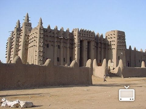 Sharia in Africa Today: Reactions and Responses (Islam in Africa， 15) 60588666_605.webp