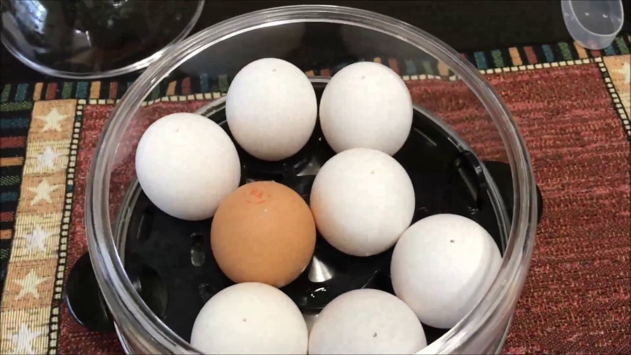 Dash Egg Cooker Deluxe Review YouTube