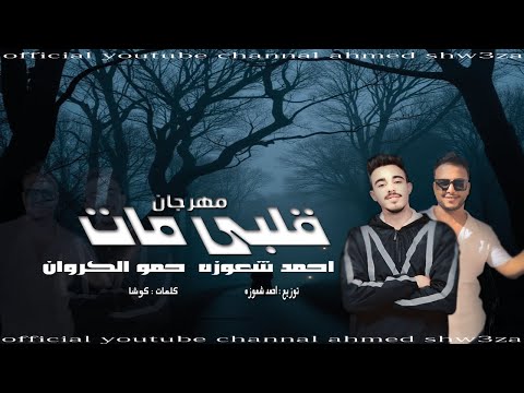 مهرجان صحابي دول هنساهم قلبي مات احمد شعوزه كوشا التركي 2023 توزيع شعوزه