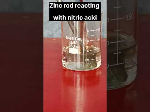 Reaction of Zinc and Nitric Acid | #shorts #scienceexperiment #chemicalreaction #chemistryexperiment