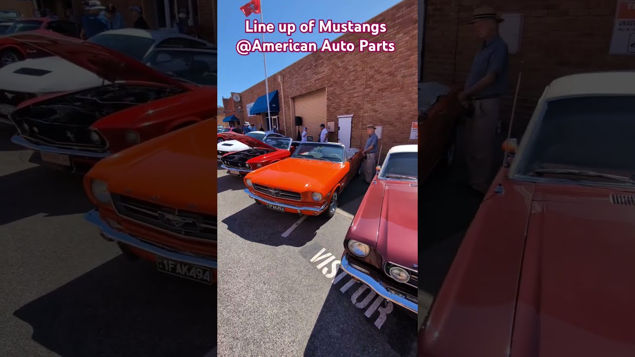 Impressive Line Up Of Ford Mustangs On Display American Muscle Cars