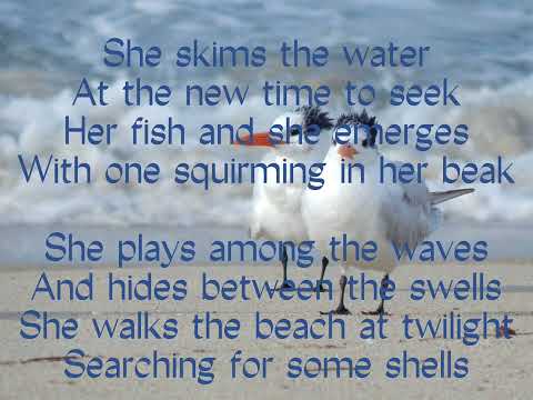 Engelbert Humperdinck - Lesbian seagull (Lyrics)
