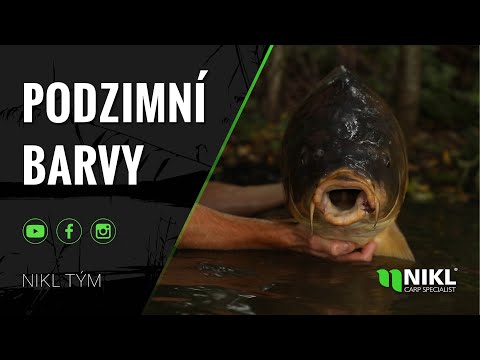 Video: Podzimní Barvy