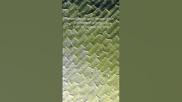 Microscope View of Garlic 🧄 | The Secret Life of a Superfood! #microscopy #shorts  #biology #science