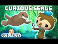 ​@Octonauts - Curious Seals 🦭 | 40 Mins Compilation  | Underwater Sea Education