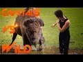 Un buffle peut en cacher un autre  crystals vs wild  cabelas african adventures  720p frpc