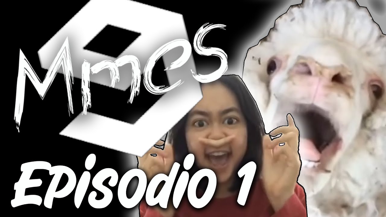 Animales, ilusiones y sandía infinita! | 9Mmes #1