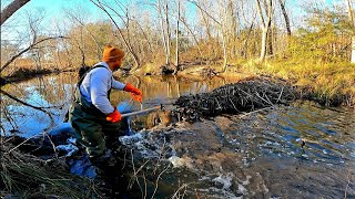 Beaver Dam Removal! || I Think We Need To Take A Walk!