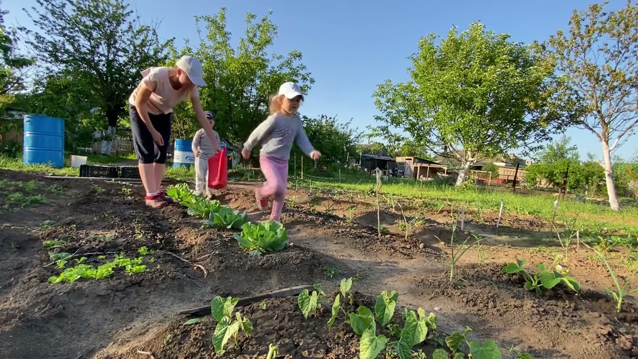 ХОТЬ ПРОДАВАЙ ИДИ. НАШИ БУДНИ