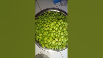 #قرآن سورة التين والزيتون