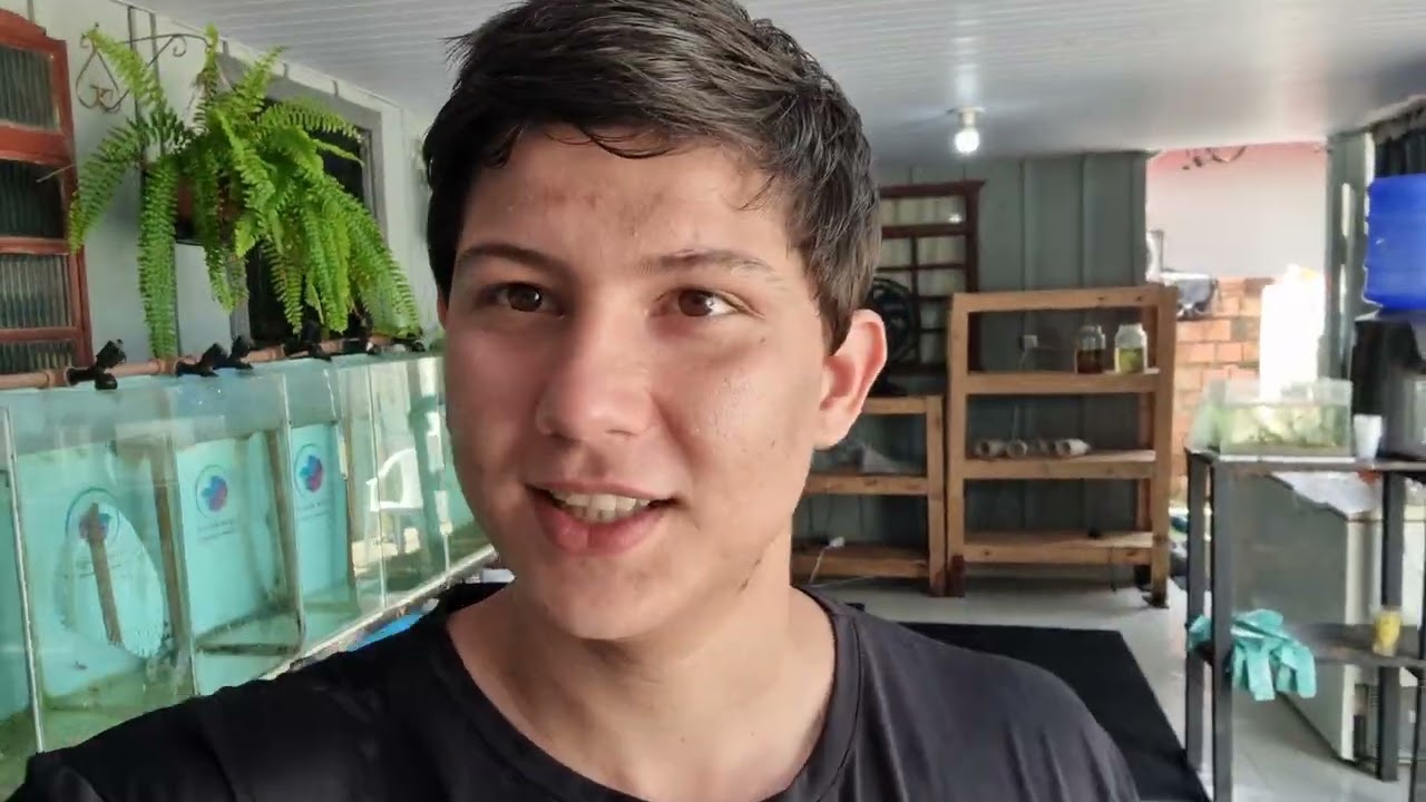 Mostrando a loja e os peixes ornamentais 