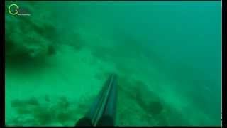 Dentex Dentex 7.6Kg Gibraltar Strait. Visit Odoc.tv