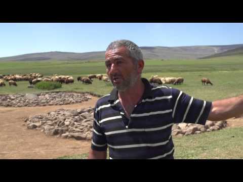 Video: Vishapakar Mystery: What The Mystical Dragon Stones Of Ancient Armenia Testify To - Alternative View