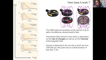 The Neuroscience of Space, Time and Number - 5