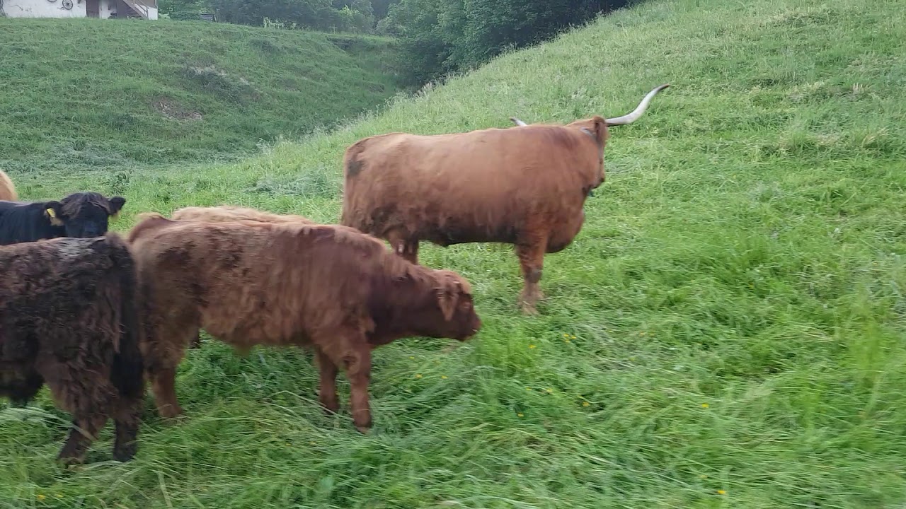 Jogging Rotsee Luzern Ebikon Lucerne Switzerland Asics Amazing Place to visit