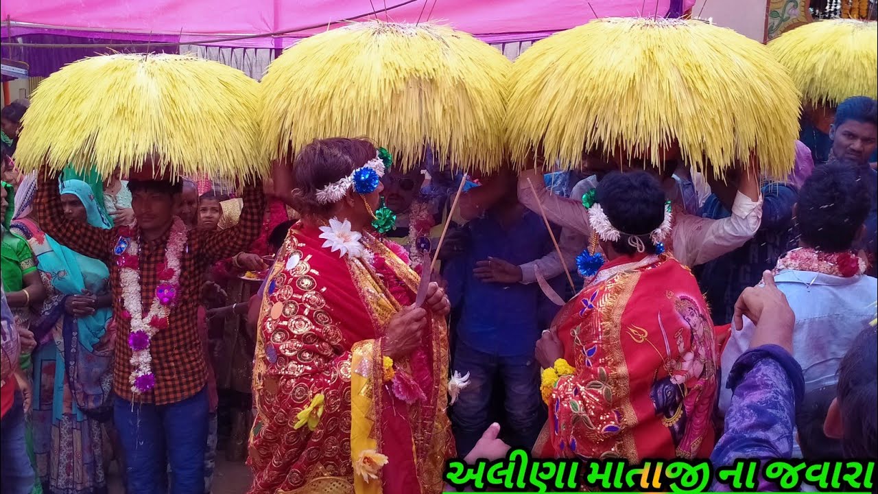 પીનલ જાગર અલીણા માતાજી ના જવારા || Pinal Jagar Alina Mataji Na Javara ...