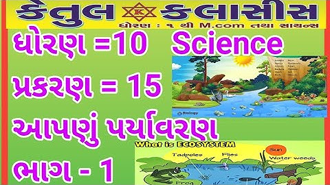 Std-10 science ch-15|| આપણું પર્યાવરણ -1||#KetulClassesSurat ||Our Environment