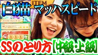 『白猫プロジェクト』“マッハスピードレコーダーズ”SSのとり方【中級・上級】