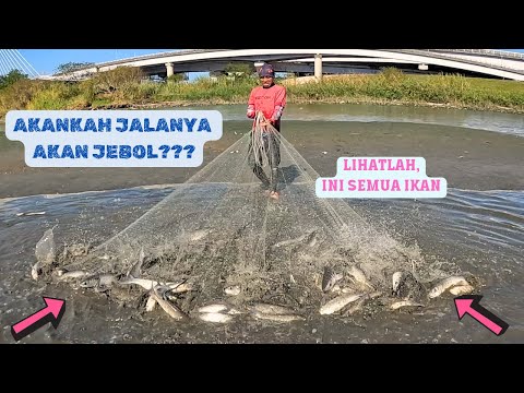 NEW RECORD: FISHING IN THE ESTUARY UNTIL THE NET WANTS TO BREAK