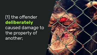 Malicious Mischief Know The Consequences Of Intentional Property Damage