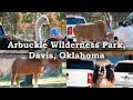 Arbuckle wilderness Park, Davis, Oklahoma | Safari Park (4k)