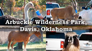 Arbuckle wilderness Park, Davis, Oklahoma | Safari Park (4k) by Travel World More 5,639 views 2 years ago 2 minutes, 17 seconds