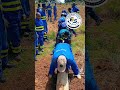 How Kenya power places their poles #electrical #engineering #electrician @StephenMusyoka-v1v