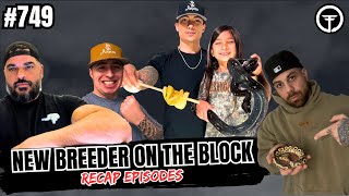 Complaining Will Get You NOWHERE In The Ball Python Game | NBB Recap Episode