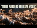 The Rice Water Fermentation Trick That Supercharges Garden Fungi