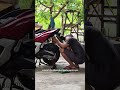 ini dia rebound shock belakang ADV 160, jadi empukan lagi #adv160 #shockbreaker #servismotor