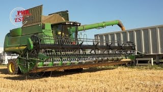 The journey of wheat, right after the harvest in Alsace