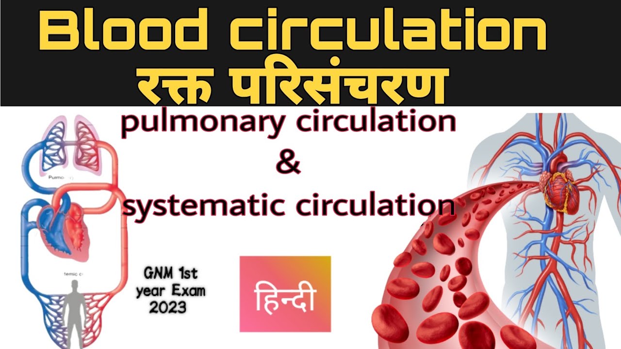 Blood circulation GNM 1st year exam 2023 में आने वाले questions