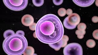 Insilico Medicine Nominates 12th PCC Targeting ENPP1