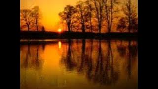 Golden Brown  - 10 Hours