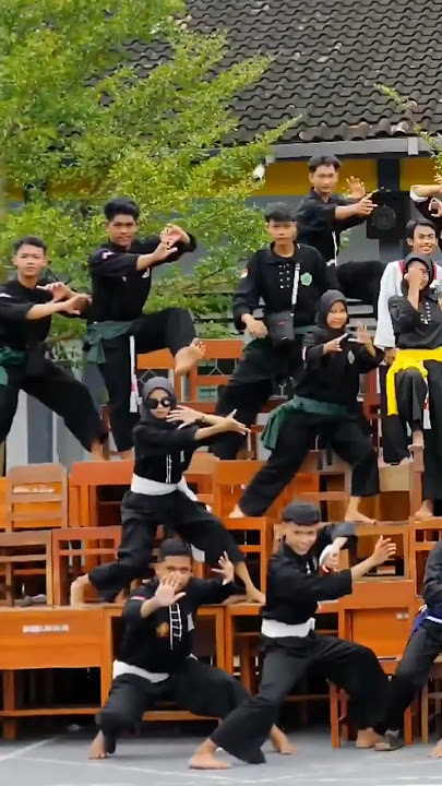 story wa pendekar silat