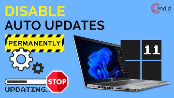 How to Permanently Disable Auto Updates in Windows 11? (in Hindi)