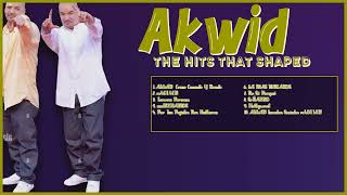 Akwid-Standout tracks of 2024-Best of the Best Mix-Predominant