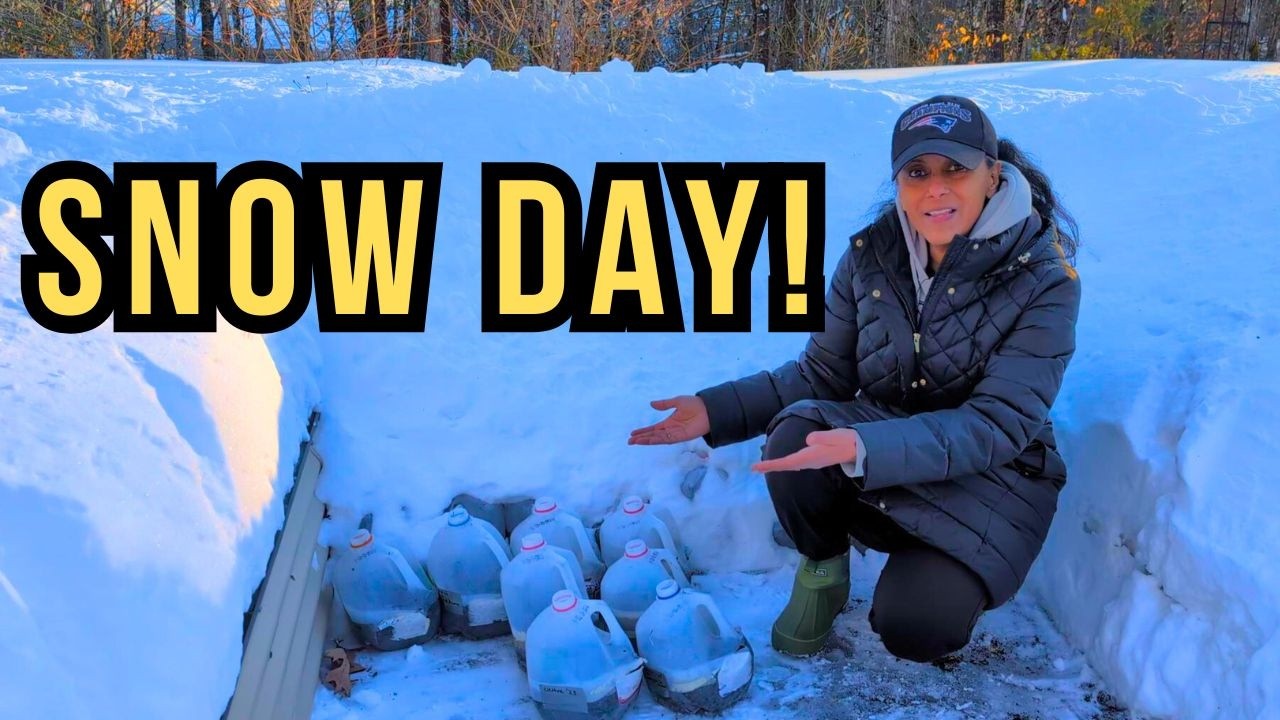 How I’m Still Gardening During a Blizzard! ❄️ (Winter Sowing, Bird Tips, HISEA Boots)