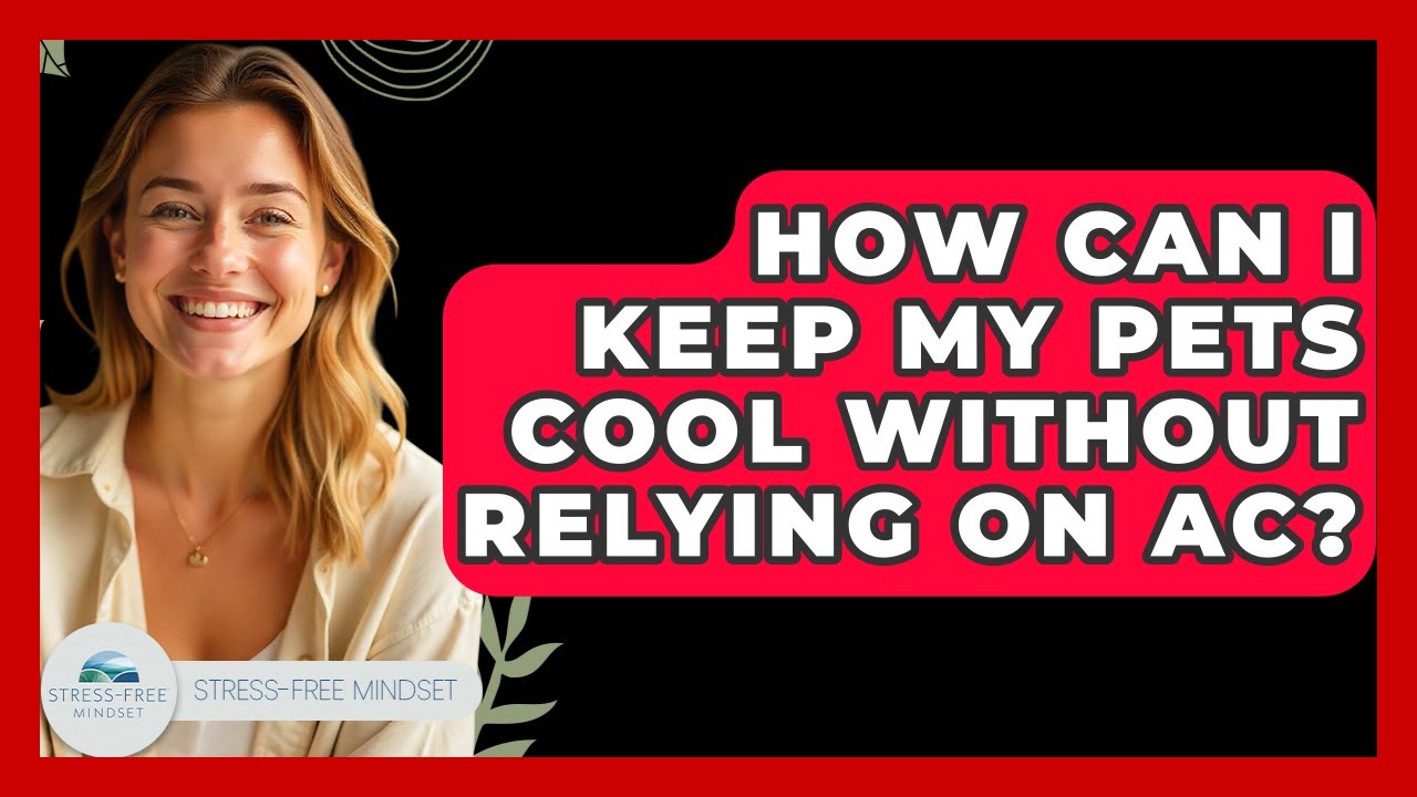 How Can I Keep My Pets Cool Without Relying On AC? - Stress Free Mindset