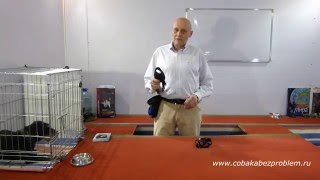 Намордник-уздечка - инструмент управления собакой Намордник-уздечка - инструмент управления собакой