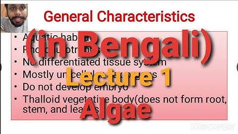 Algae Lecture 1 : (General Character) | in Bengali
