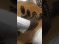 اتعب على شاني غناء هذال الصقر