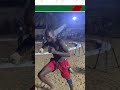 Waƙar Dambe Tana Taka Muhimmiyar Rawa A Kowane Yaƙ Boxing Hausa Dambe Hausamusic Fight Ufc