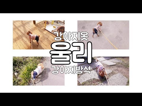 울리 강아지옷 후기 / 강아지 방석 / 강아지 산책